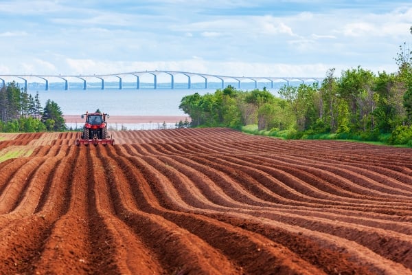 North Carleton, field, tractor, bridge 