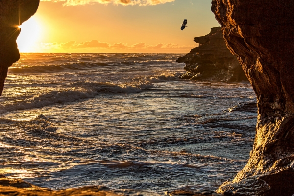 Ocean through rocks, sunset, bird