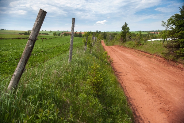 Warburton Scenic Road and field