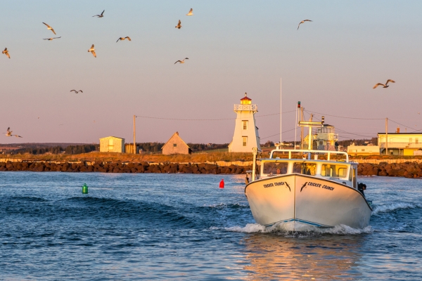 North Rustico, ocean, boat, seagulls, sunset