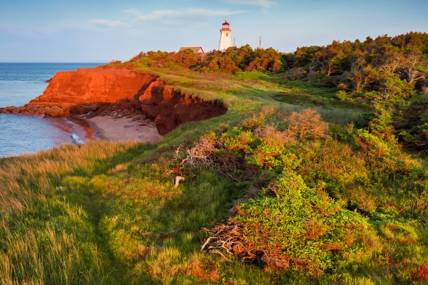 East Lake, lighthouse, birds-eye, ocean, beach, trees