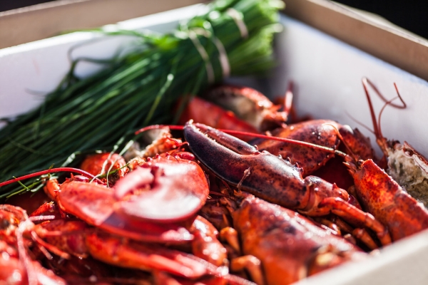 Lobsters cooked, close up