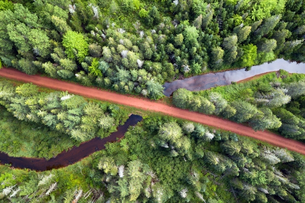 Confederation Trail, Fort Augustus, birds eye view, forest