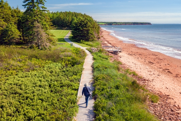 Sally's Beach, provincial park, beach, walking path