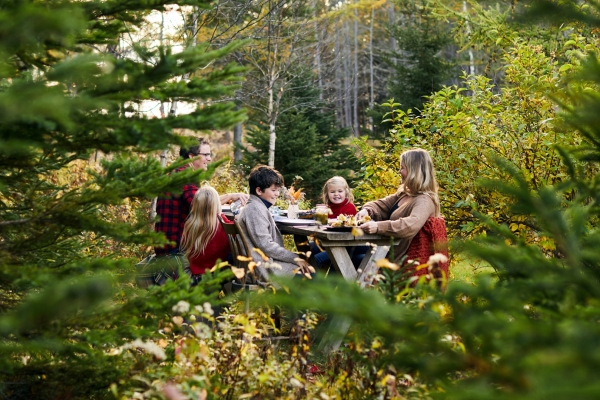 Family, Picnic, forest
