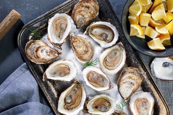 Oysters, flat-lay, Fall Flavours, Savour Victoria, lemons