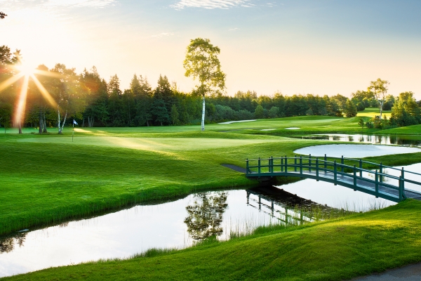 Bridge, grass, sun, pond