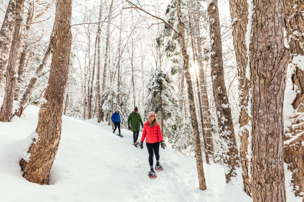 Trio of people snowshoeing at Strathgartney Provincial Park