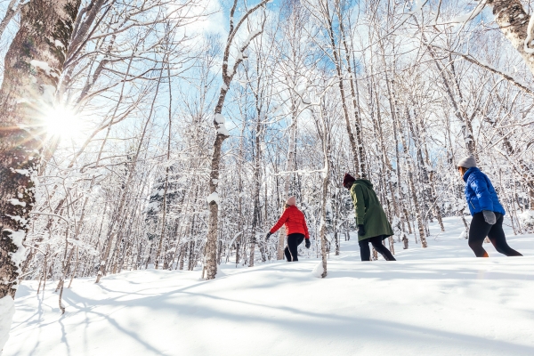 Strathgartney, Snowshoeing, winter, forest