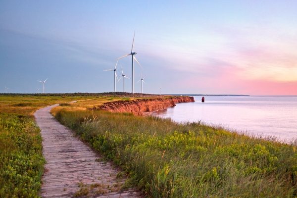 Discover North Cape Coastal Drive PEI | Tourism PEI