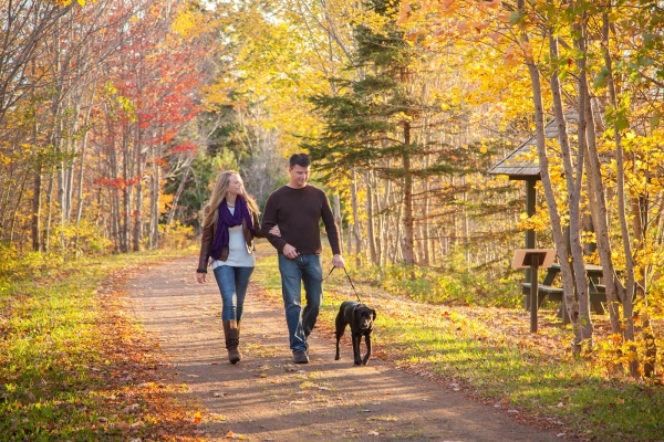Couple walking on Confederation Trail with dog