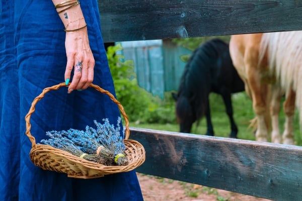 Woman holds basket of lavender outside a horse paddock