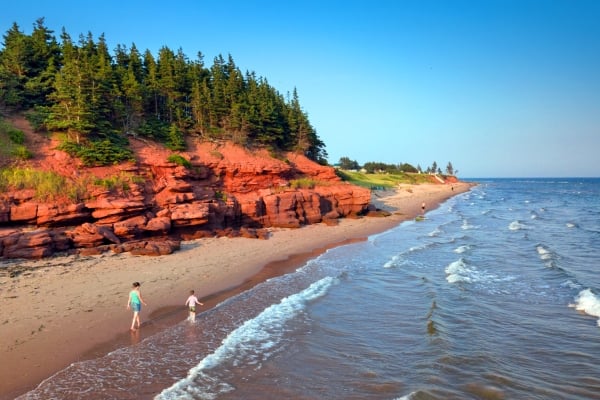 Aerial view of small duos walking on a PEI beach with red cliffss and wooded landscapes