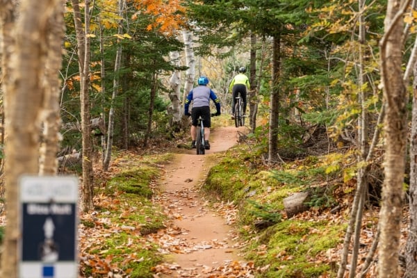 Two cyclists on Blue Nuit trail under fall foliage at Brookvale MTB