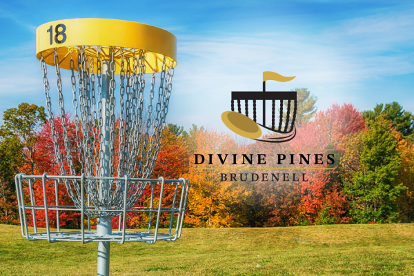 Disc golf hole basket in autumn park (Canva stock image) with Divine Pines logo