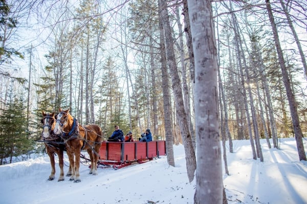 Horse and sleigh ride through the woods at Mill River Resort