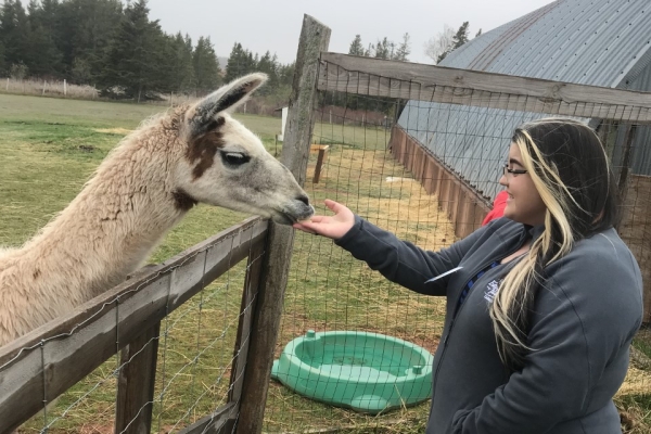 Blaire Guptill petting a llama