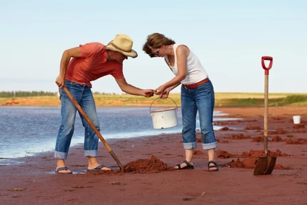 two people clam digging