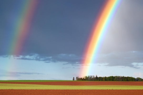 Double rainbow over a field