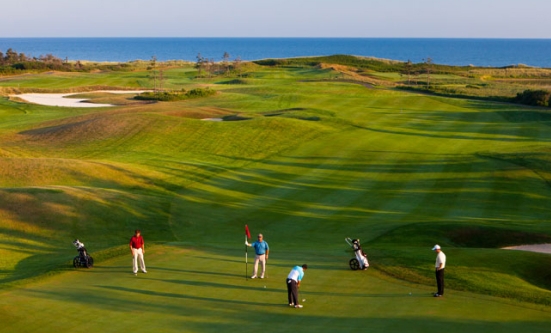 Aerial view of people playing golf in a golf course