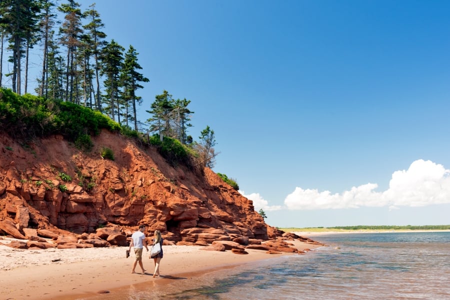 Couple walking on a beach