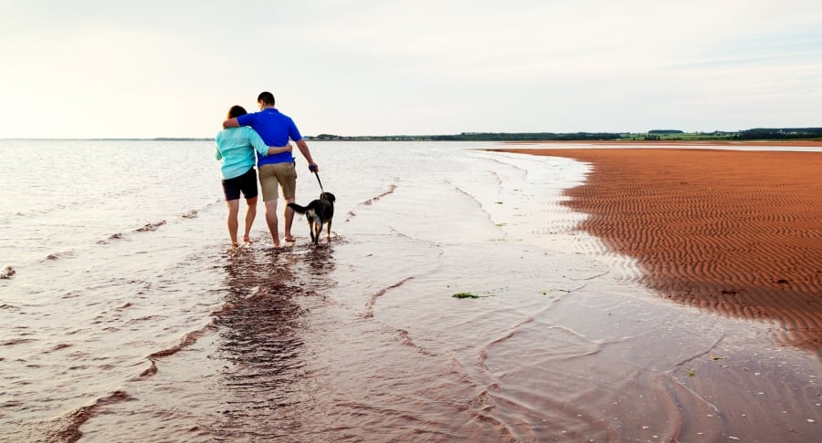 Borden Carleton, couple walking on beach