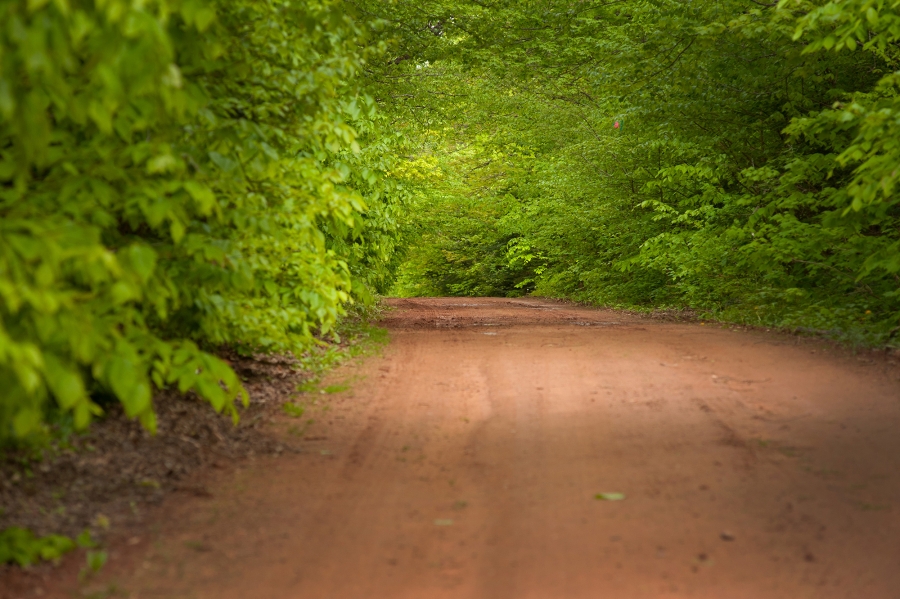 Junction Road Scenic Road