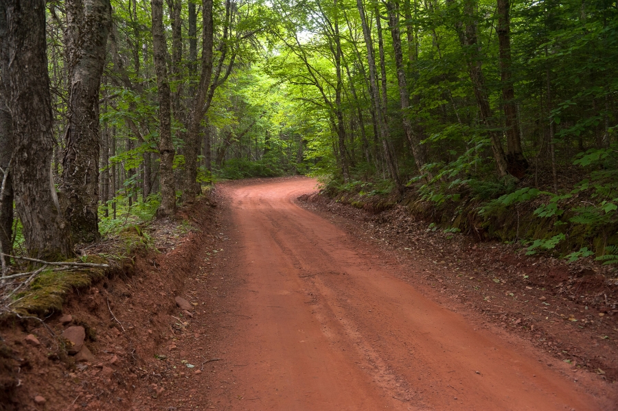 MacArthur Road Scenic Road