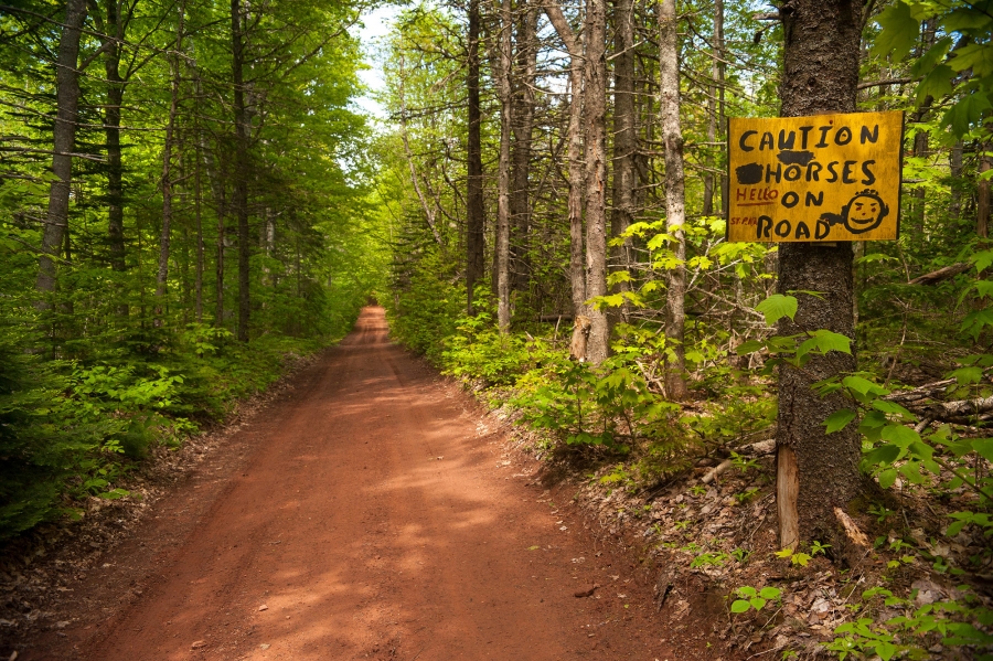 Perry Road Scenic Road