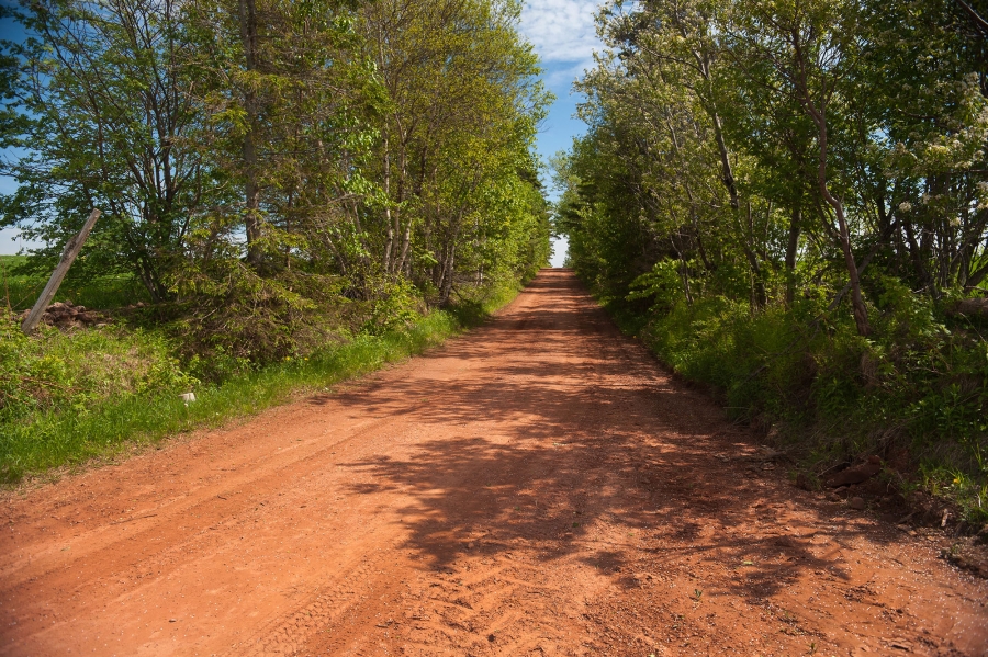 Warburton Scenic Road