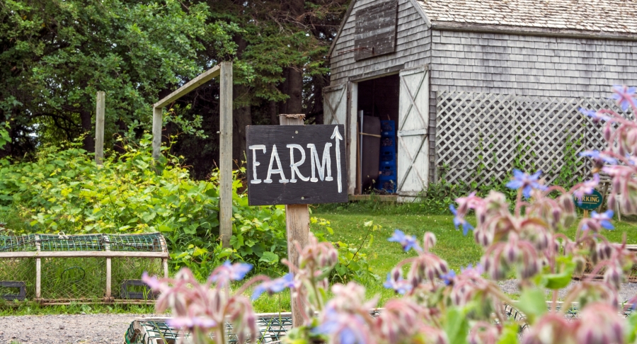 Inn at Bay Fortune, farm, sign Inn at Bay Fortune, farm, sign