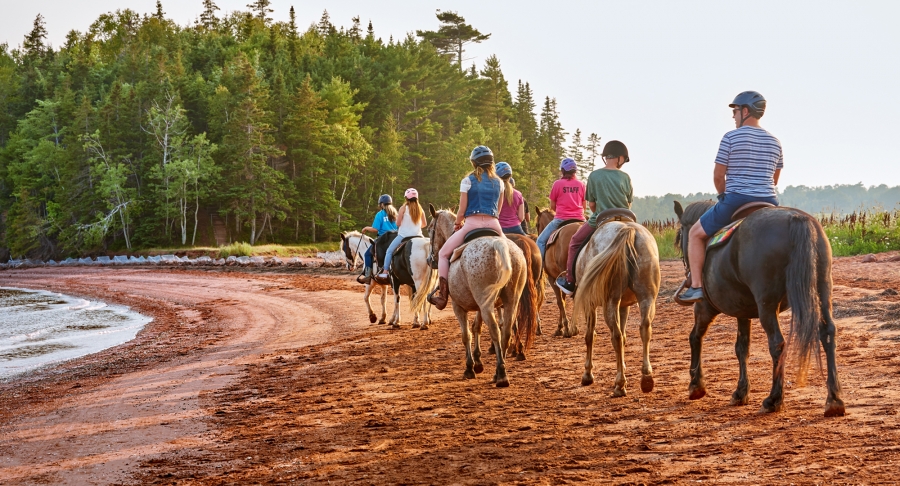 Brudenell Trail Ride, horse rides, forest, lots of riders Brudenell Trail Ride, horse rides, forest, lots of riders