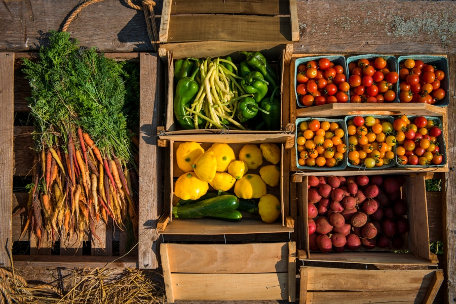 Freshly picked garden vegetables ready for market