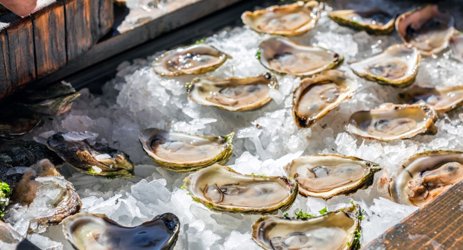 FallFlavours, lobster party, oysters, ice FallFlavours, lobster party, oysters, ice