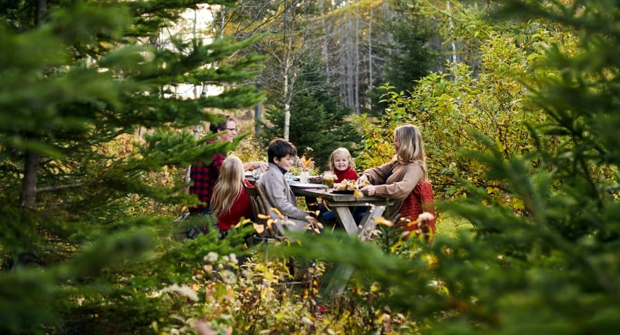 Family, Picnic, forest