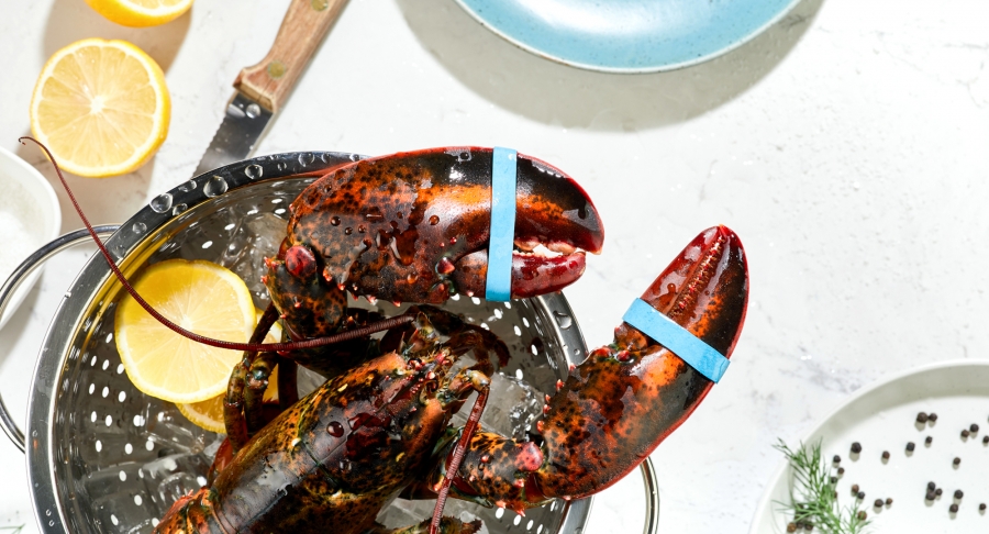 Food photography, lobster, lemon