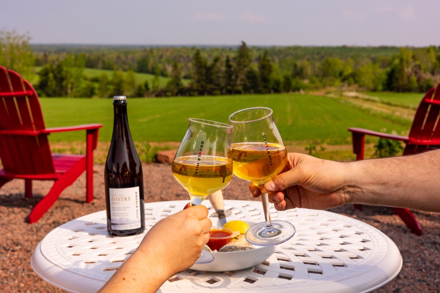 Image of two hands holding cider making a toast over looking the hills of Caledonia