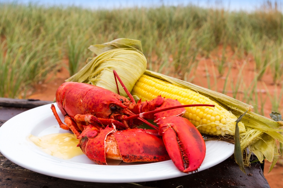 Lobster and corn Lobster and corn
