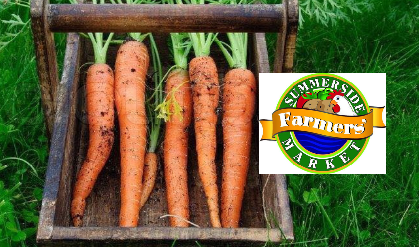 Basket of carrots on green grass with Summerside Farmers Market logo