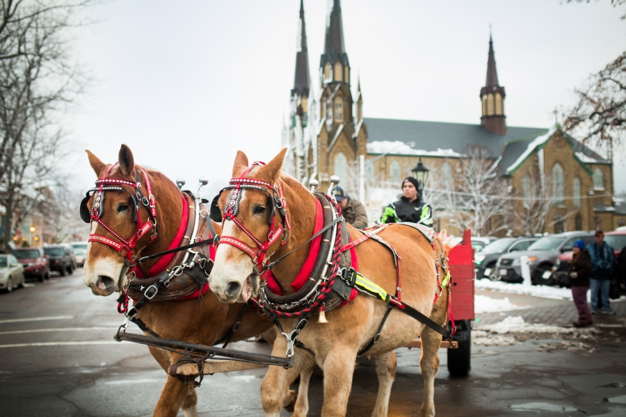Horse & Sleigh ride in downtown Charlottetown