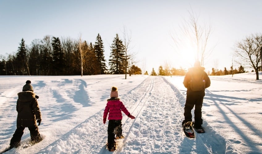 Fun and Frosty package