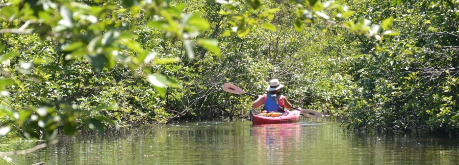 Kayaking in PEI