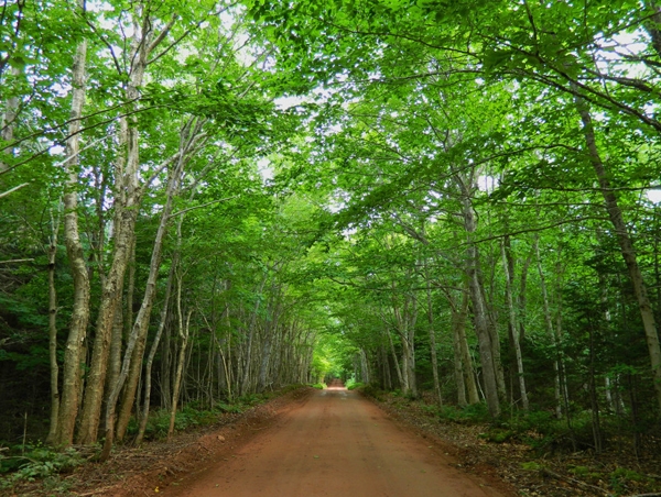 New Harmony Road New Harmony Road
