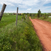 Warburton Scenic Road and field