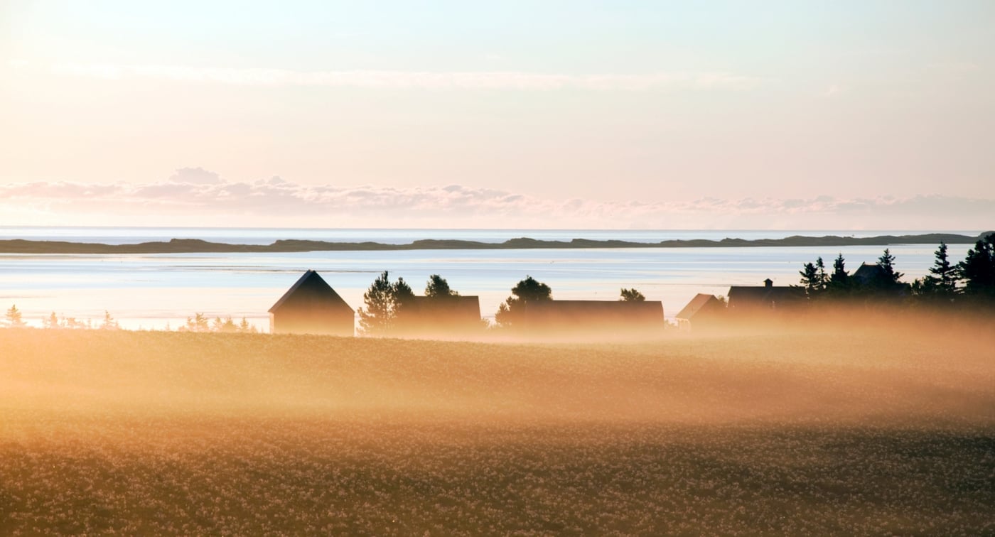 Ocean, Field, House Silhouette 