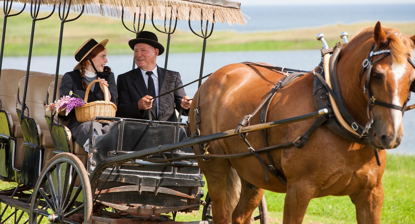 Anne of Green Gables, horse carriage, smiling Anne of Green Gables, horse carriage, smiling
