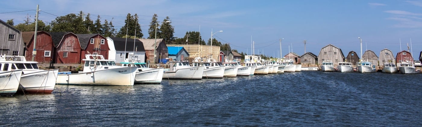 Malpeque, PEI Fishing boats tied up at Malpeque Harbour in summer