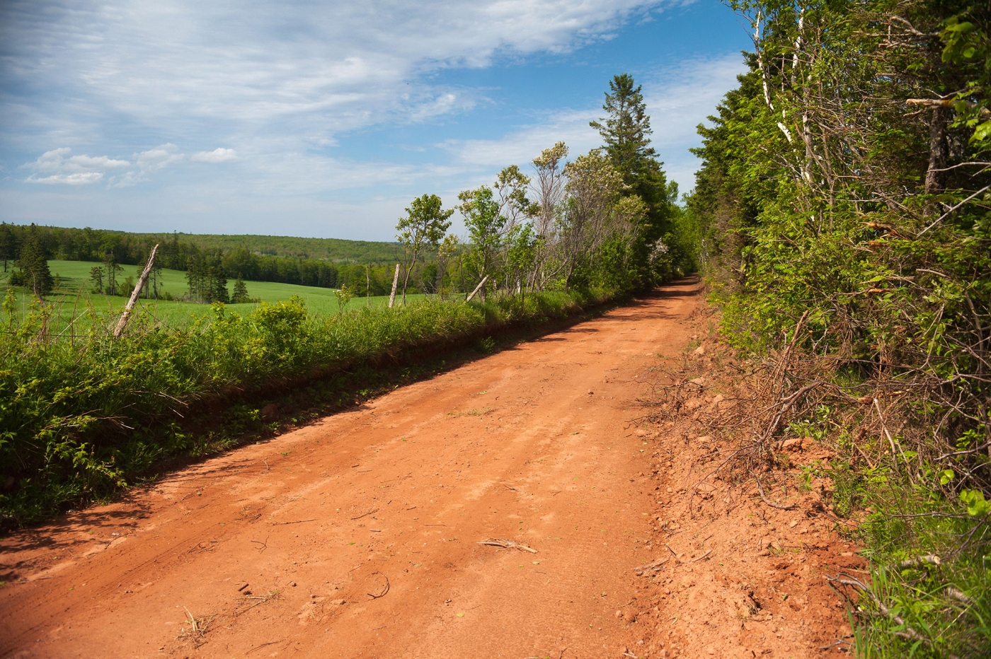 Warburton Scenic Road countryside