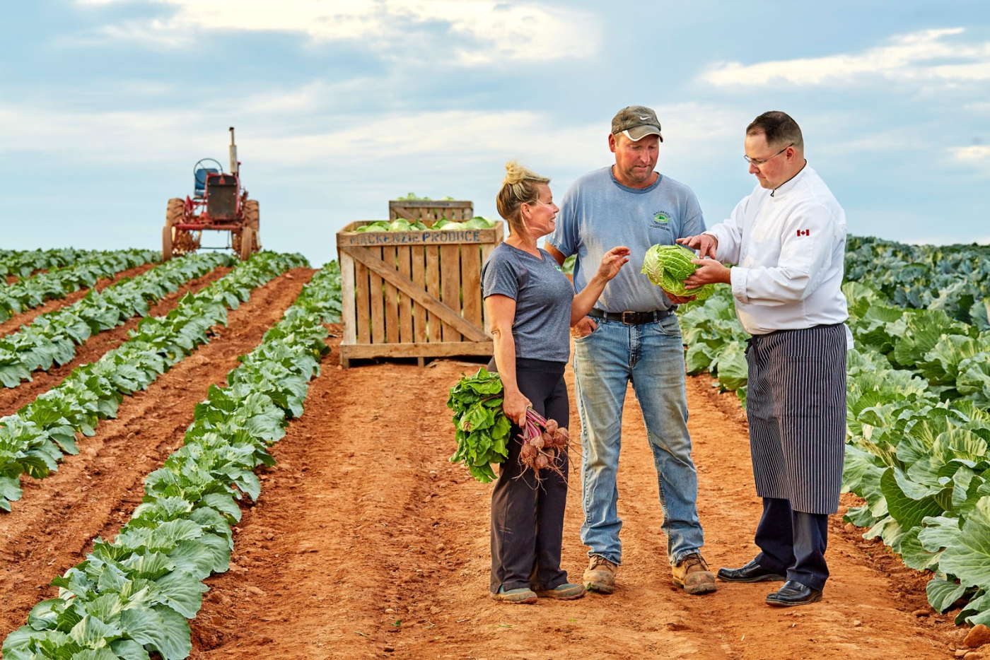 Culinary, Prince Edward Island Chef with two family famers in cabbage field with tractor in background