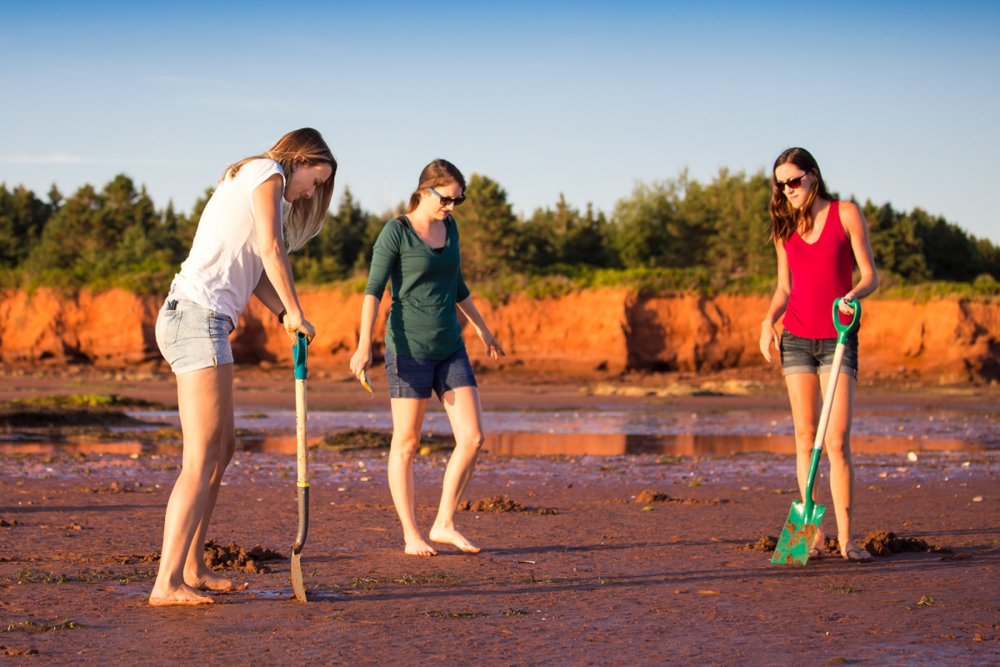 Trio digging for clams at Keppoch Beach, PEI